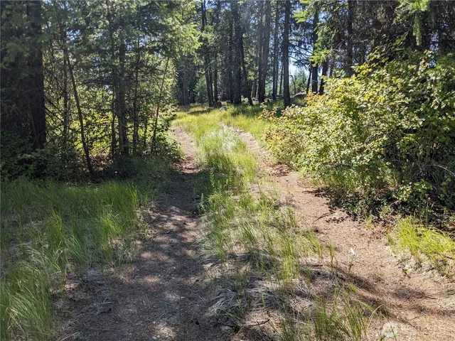 a view of a back yard of the house
