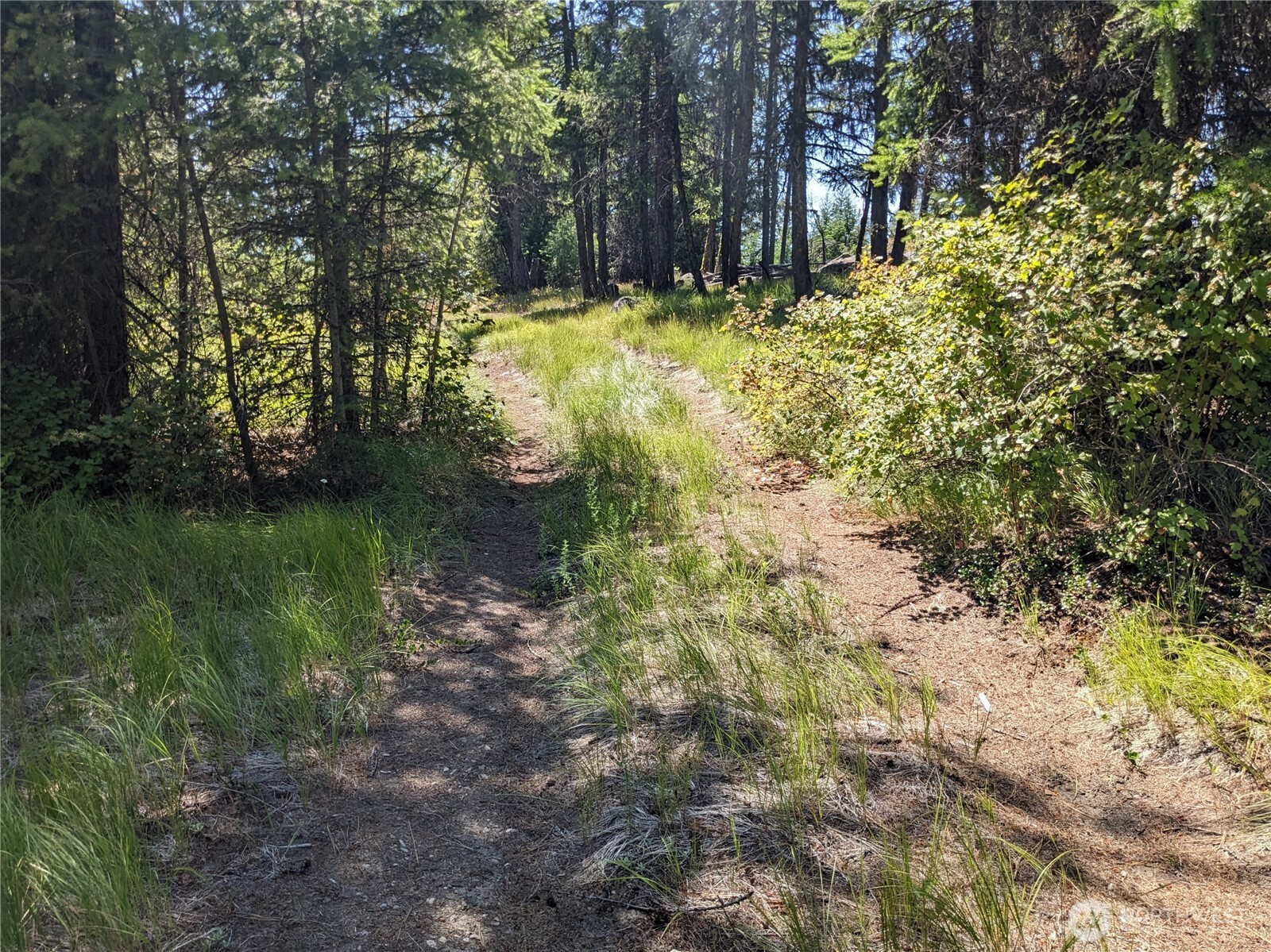 0 Mule Deer Road Republic, WA 99166 - Photo 15 of 23 a view of backyard with green space