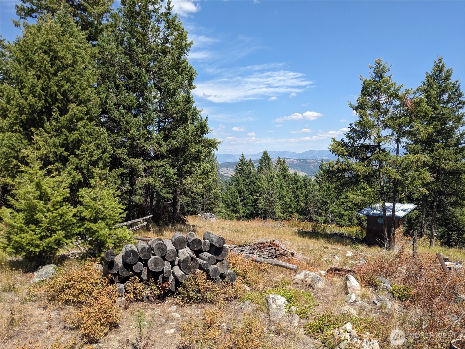 0 Mule Deer Road Republic, WA 99166 - Photo 10 of 23 a view of a dry yard with trees