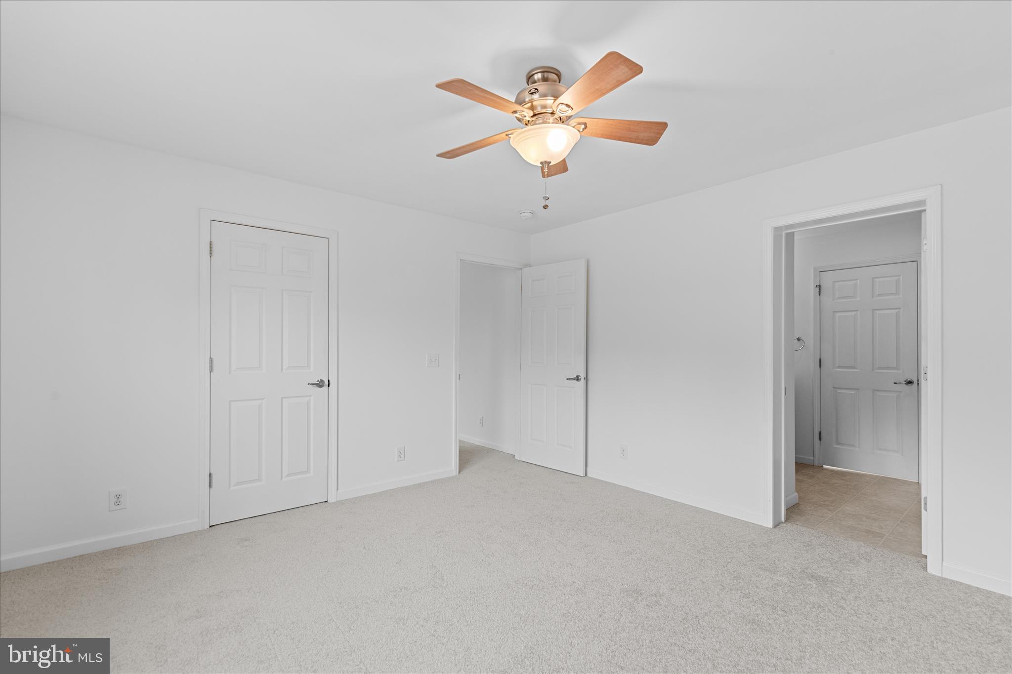 12454 Mirey Branch Road Laurel, DE 19956 - Photo 22 of 51 an empty room with closet and a chandelier fan