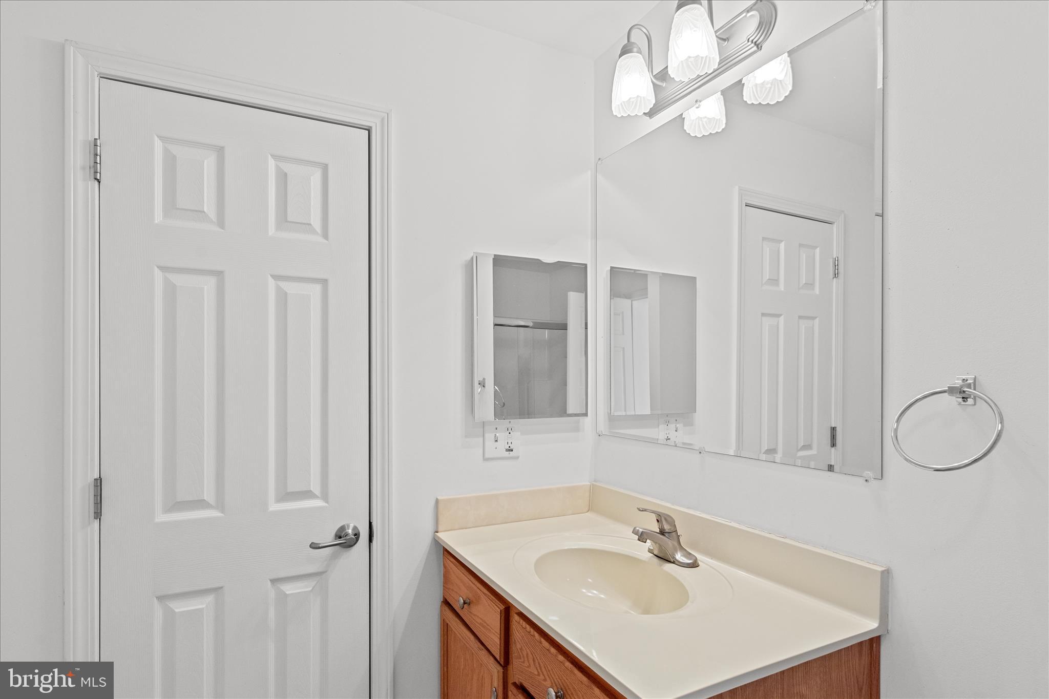 12454 Mirey Branch Road Laurel, DE 19956 - Photo 26 of 51 a bathroom with a sink vanity and a mirror