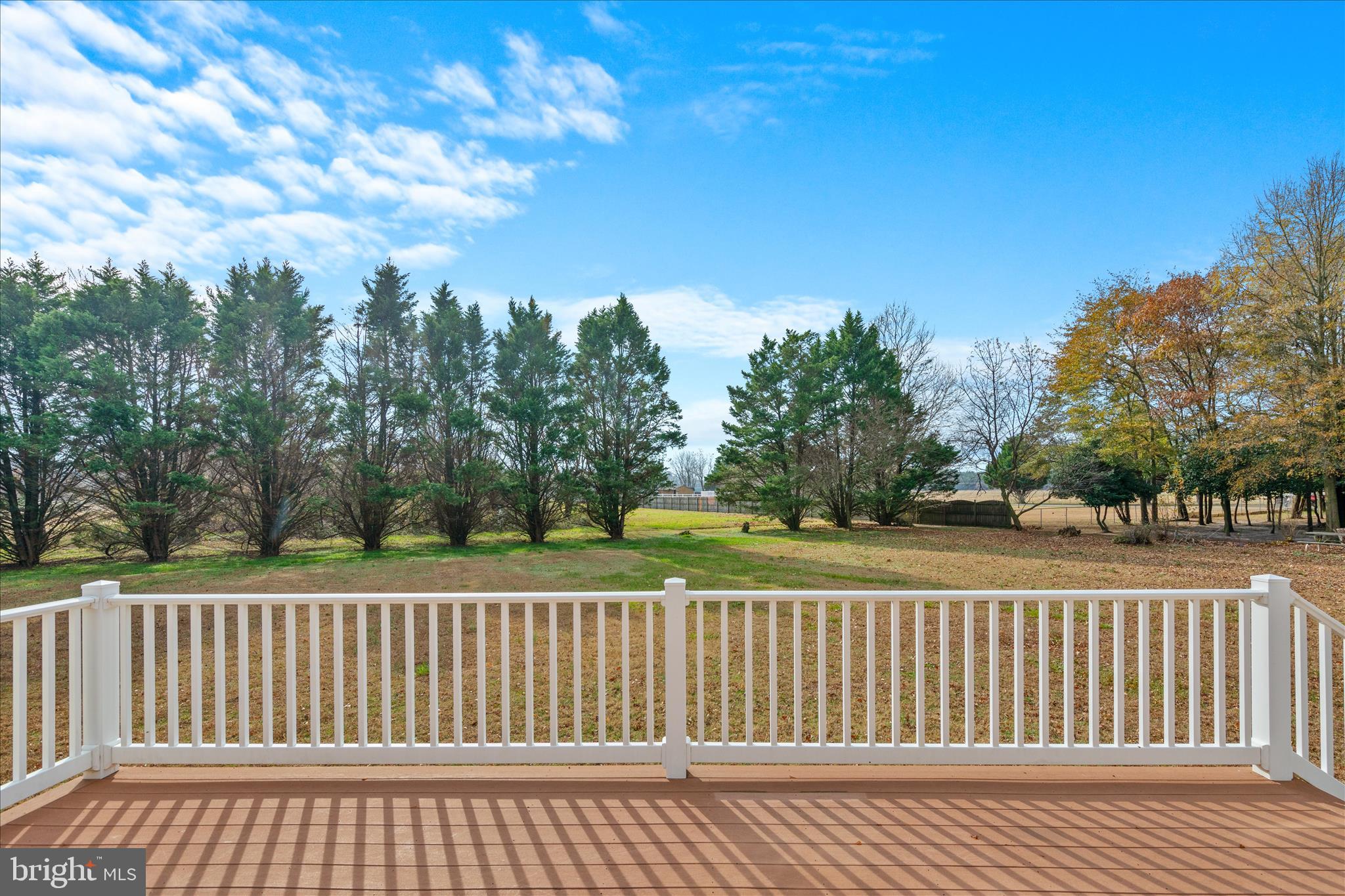 12454 Mirey Branch Road Laurel, DE 19956 - Photo 44 of 51