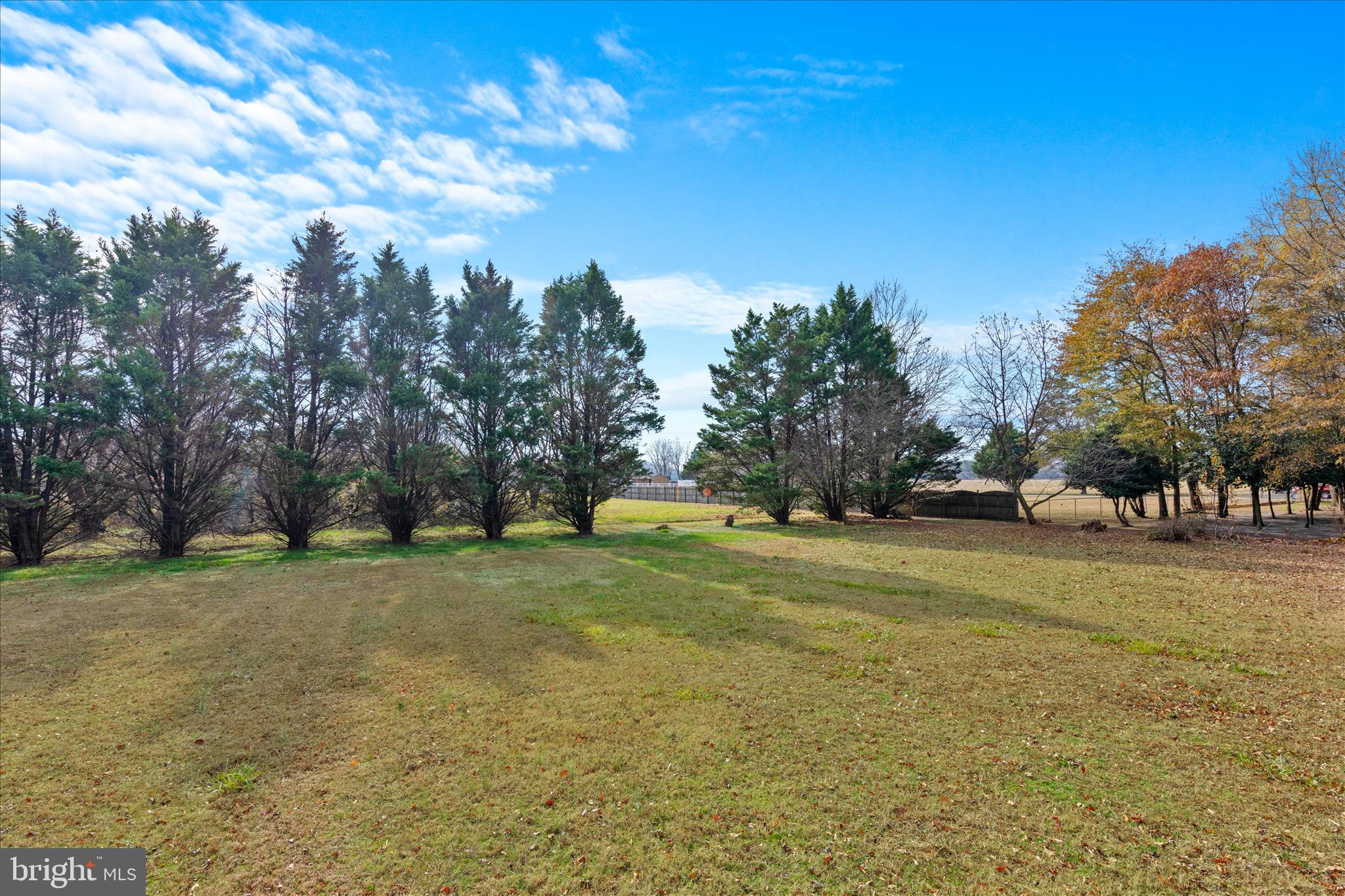 12454 Mirey Branch Road Laurel, DE 19956 - Photo 45 of 51 a view of a trees in a yard