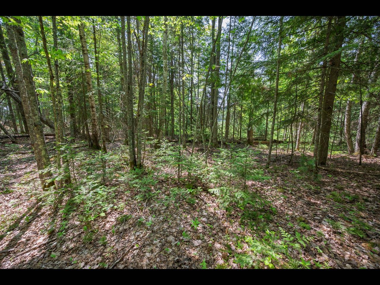Lot 13 Memory Lane Eagle River, WI 54521 - Photo 21 of 40 Gallery Image 21