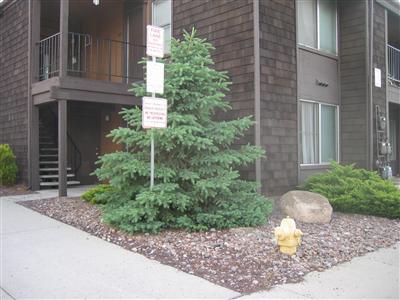 1200 South Riordan Ranch Street, Unit 95 Flagstaff, AZ 86001 - Photo 1 of 2 Primary Photo