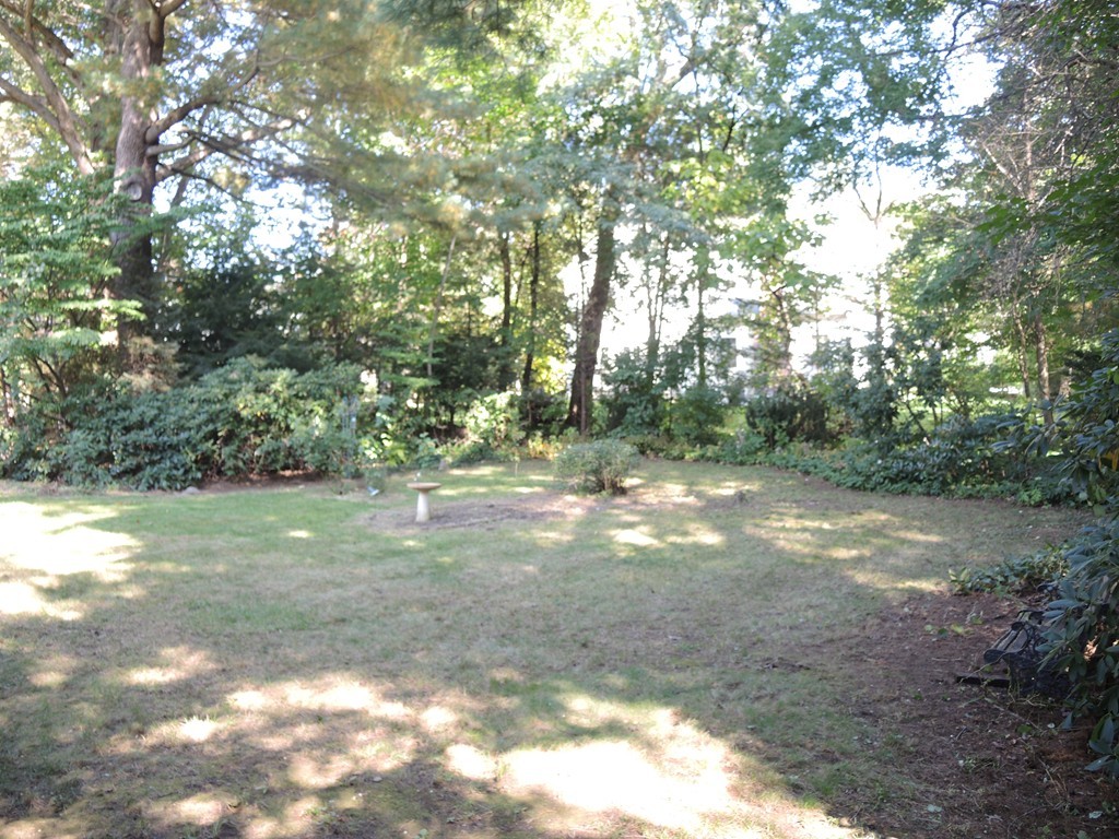 58 Avalon Road Needham, MA 02492 - Photo 4 of 22 a view of a yard with a tree