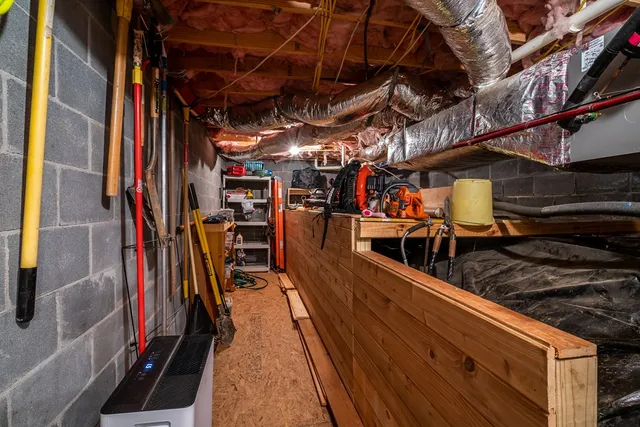 a view of a lush green forest with lush green forest