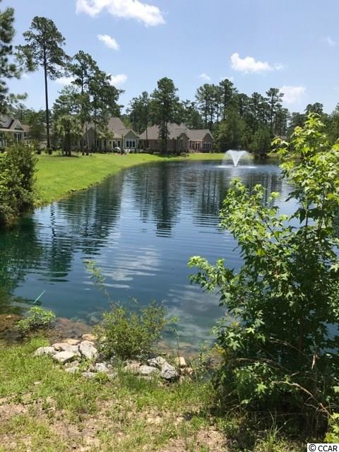 Lot 3 Low Country Loop Murrells Inlet, SC 29576 - Photo 2 of 13