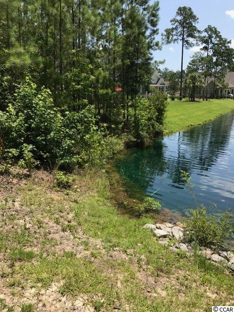 Lot 3 Low Country Loop Murrells Inlet, SC 29576 - Photo 3 of 13