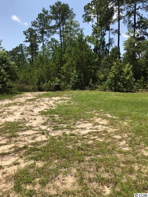 Lot 3 Low Country Loop Murrells Inlet, SC 29576 - Photo 4 of 13