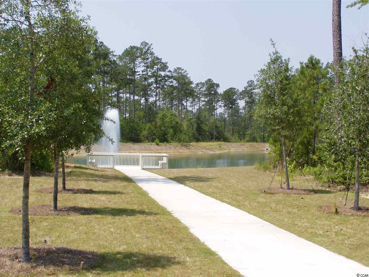Lot 3 Low Country Loop Murrells Inlet, SC 29576 - Photo 6 of 13