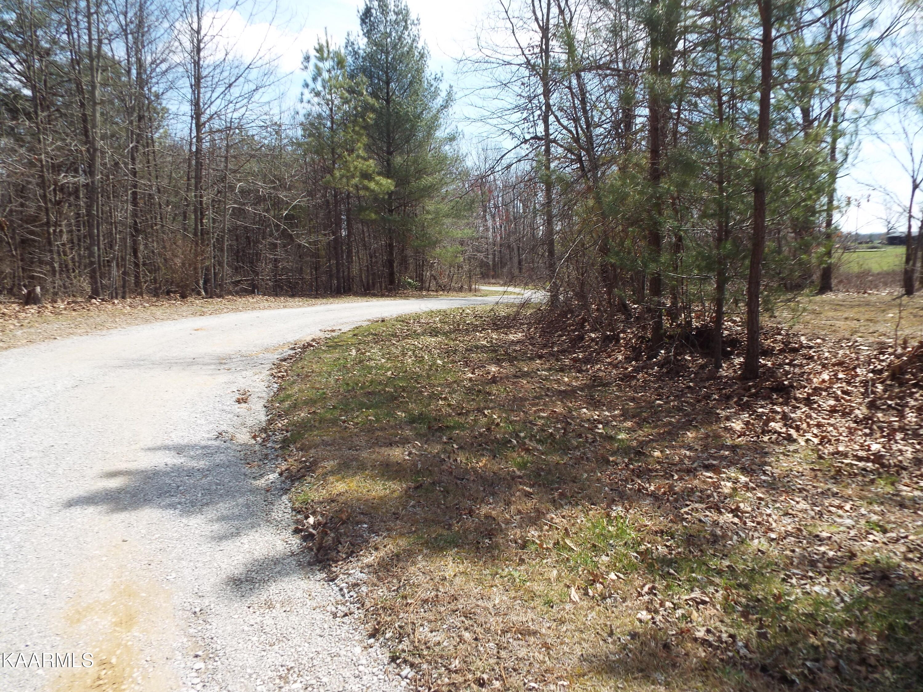Stanley Hood Road Crossville, TN 38571 - Photo 4 of 12 DSCF2077