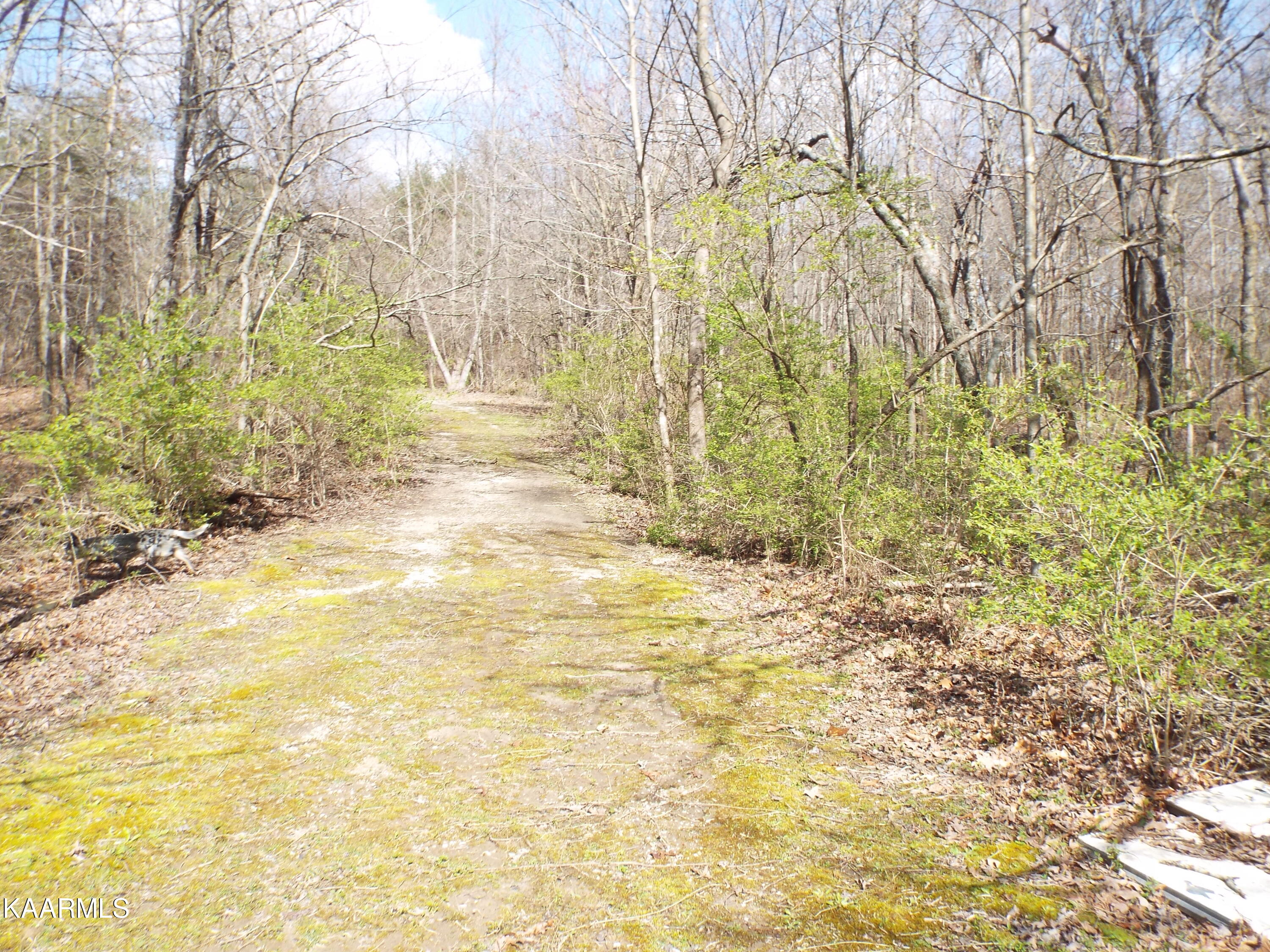 Stanley Hood Road Crossville, TN 38571 - Photo 7 of 12 DSCF2088