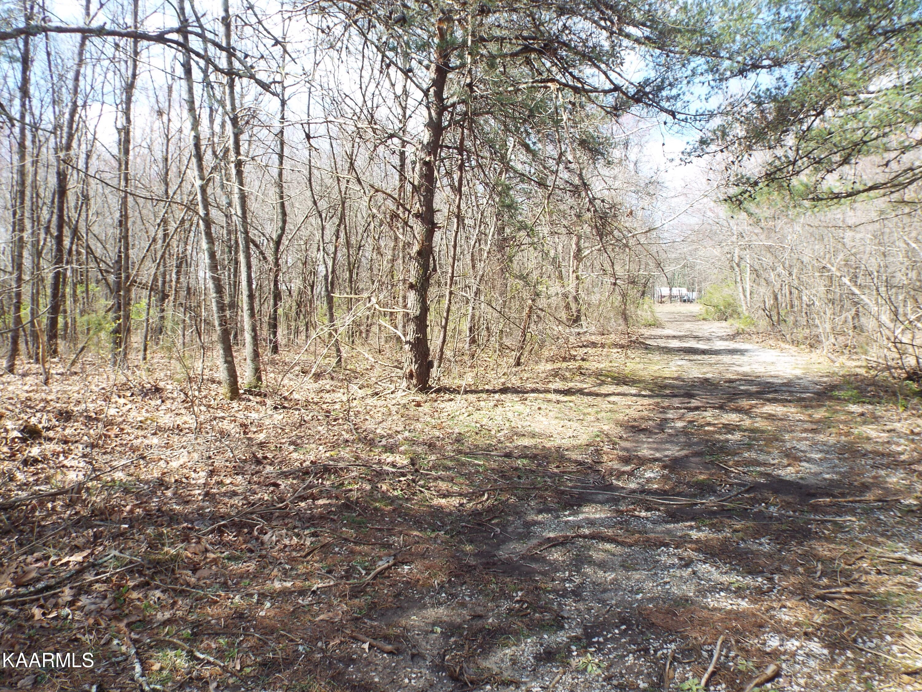 Stanley Hood Road Crossville, TN 38571 - Photo 10 of 12 DSCF2092