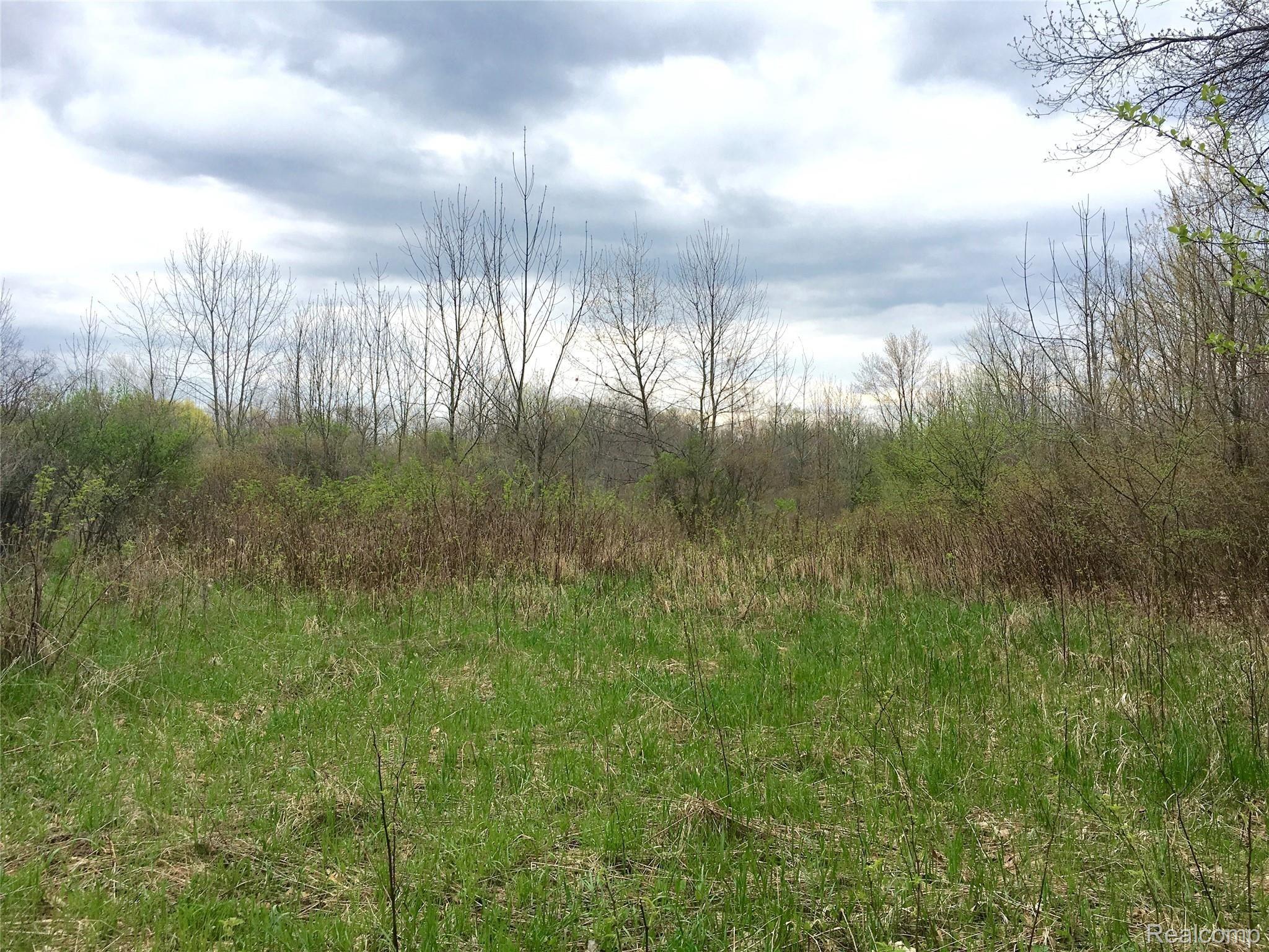 5600 Preston Road Howell, MI 48855 - Photo 6 of 16 IMG_5845.jpg