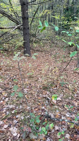 $279,900 | 91 Whittemore Road, Pembroke, NH 03275