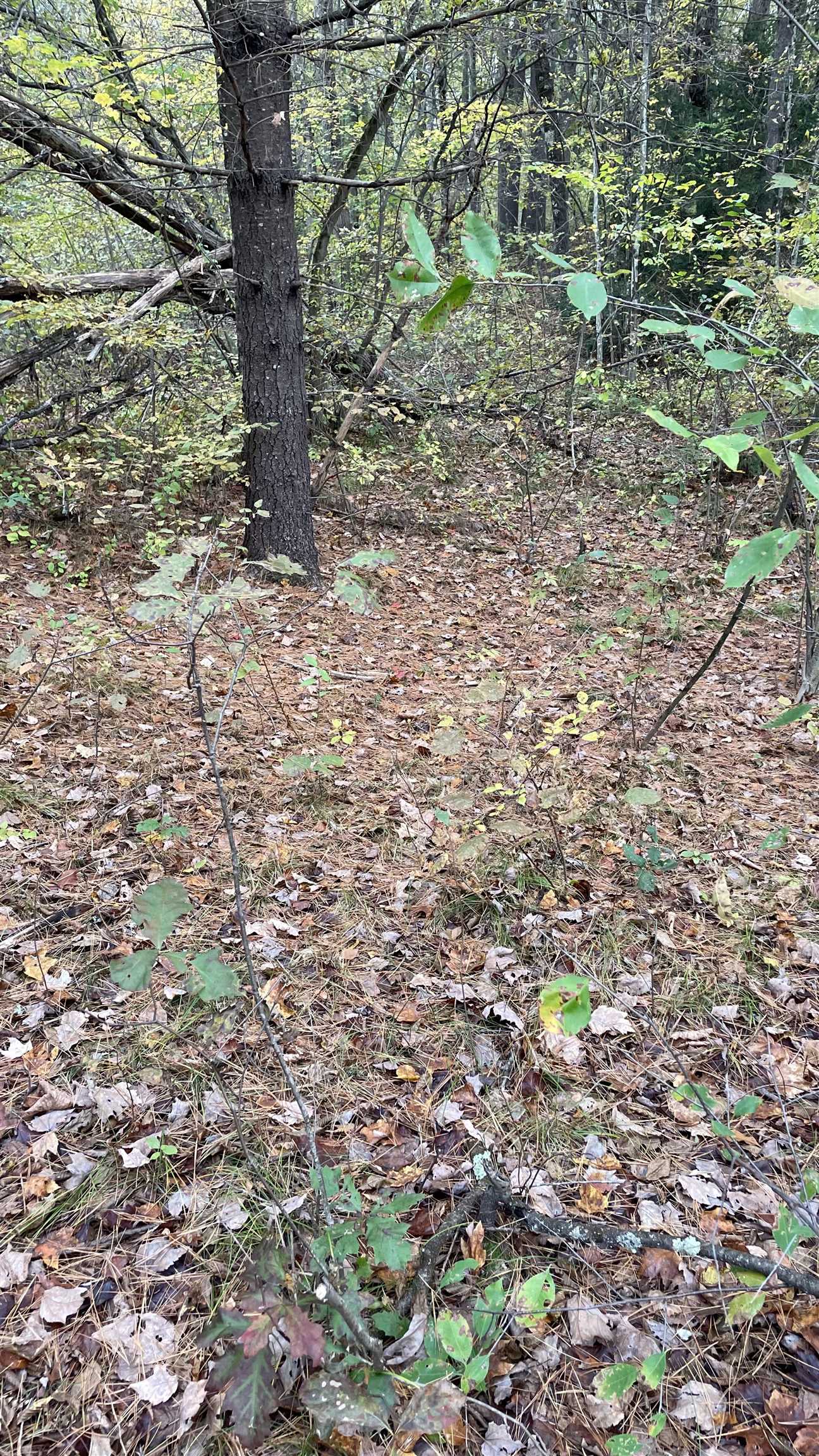 91 Whittemore Road Pembroke, NH 03275 - Photo 11 of 35