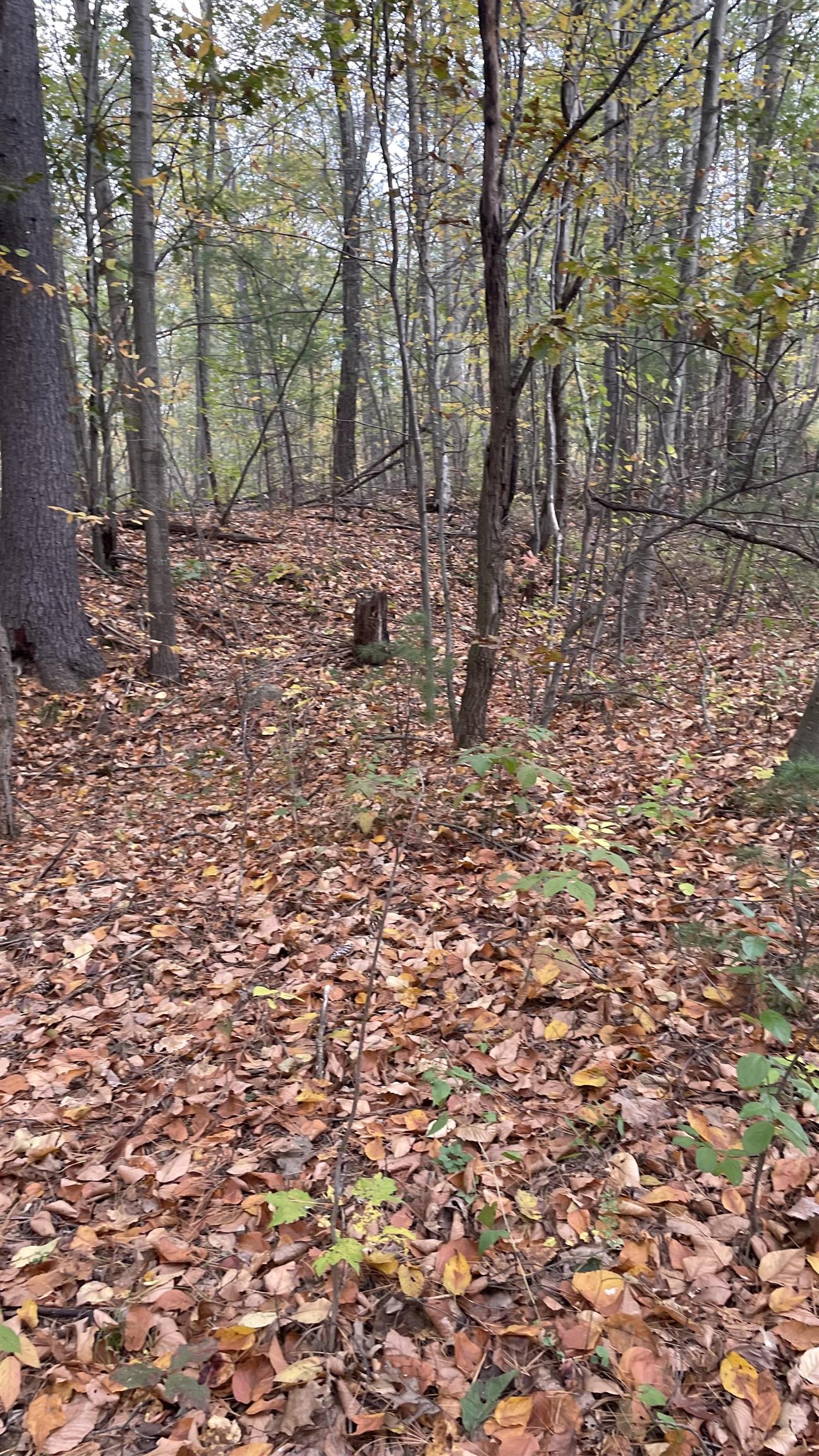 91 Whittemore Road Pembroke, NH 03275 - Photo 12 of 35