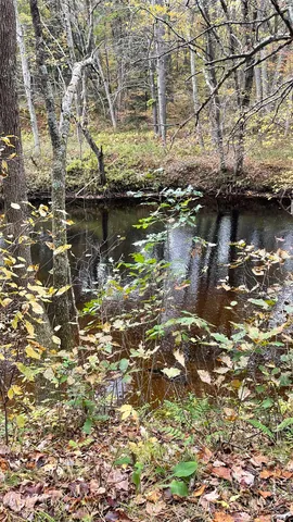 $279,900 | 91 Whittemore Road, Pembroke, NH 03275