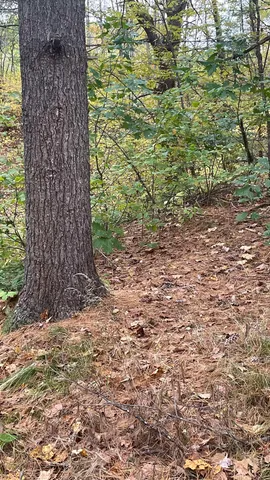 $279,900 | 91 Whittemore Road, Pembroke, NH 03275