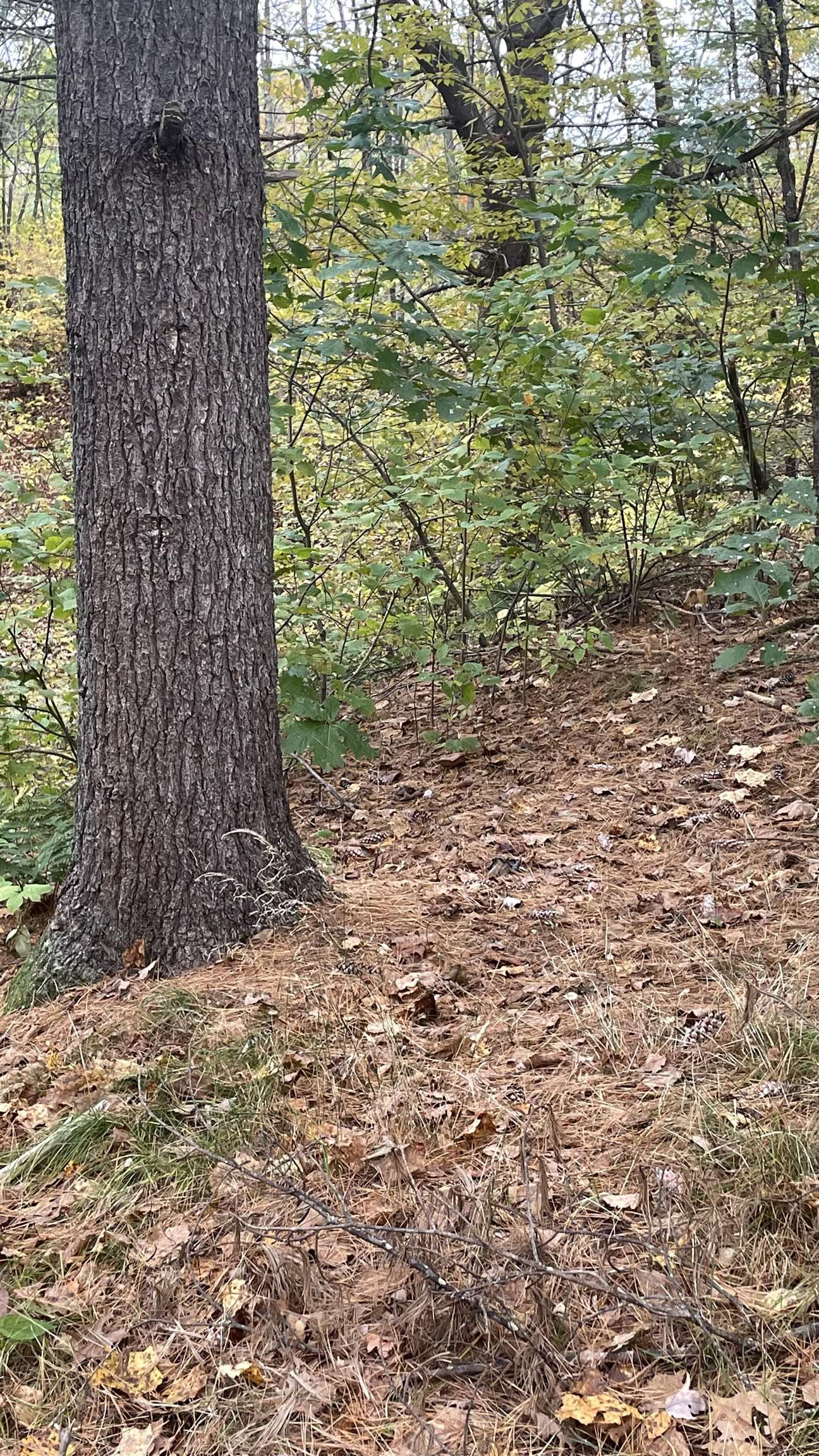 91 Whittemore Road Pembroke, NH 03275 - Photo 14 of 35