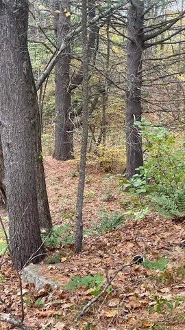 $279,900 | 91 Whittemore Road, Pembroke, NH 03275