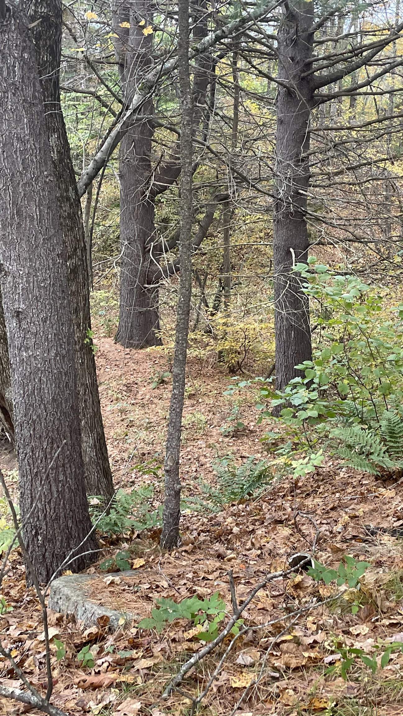 91 Whittemore Road Pembroke, NH 03275 - Photo 16 of 35