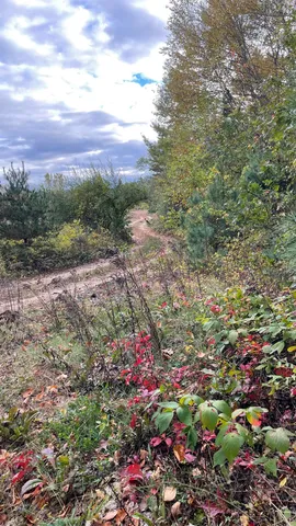 $279,900 | 91 Whittemore Road, Pembroke, NH 03275