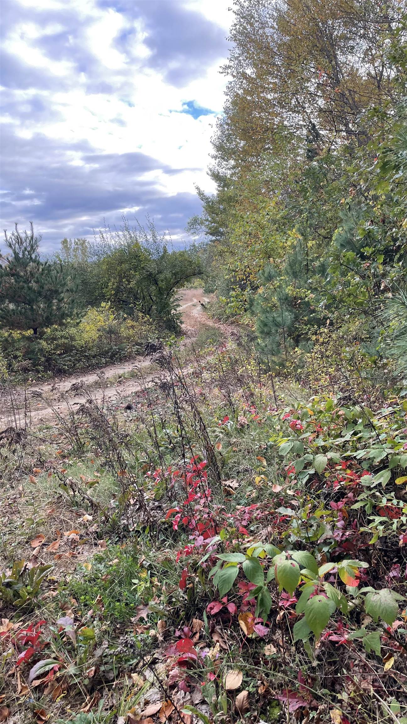 91 Whittemore Road Pembroke, NH 03275 - Photo 17 of 35