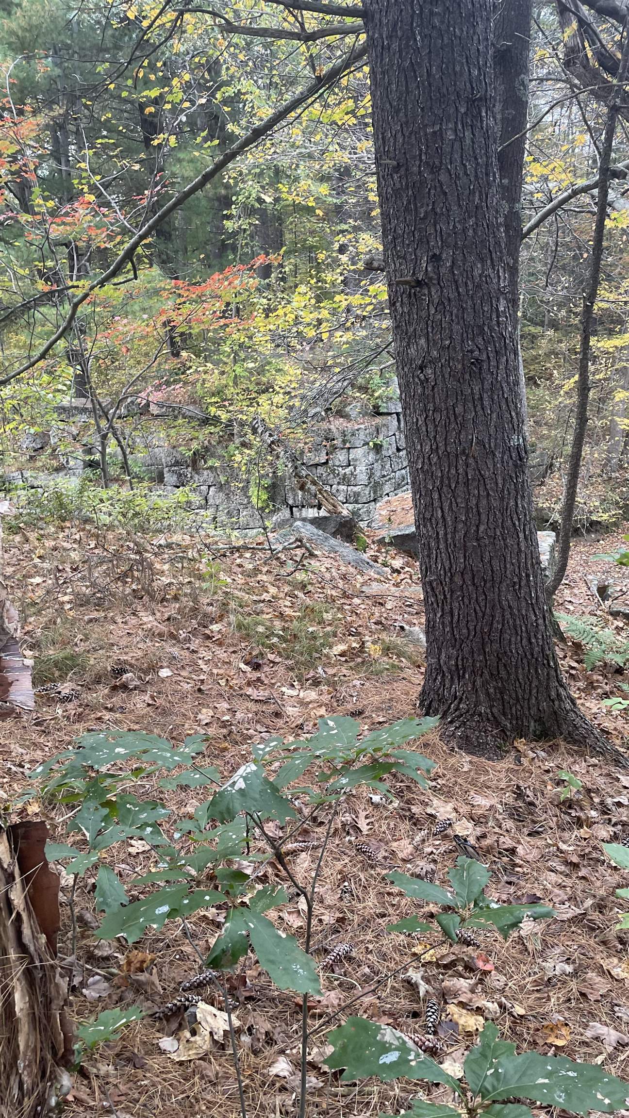 91 Whittemore Road Pembroke, NH 03275 - Photo 19 of 35