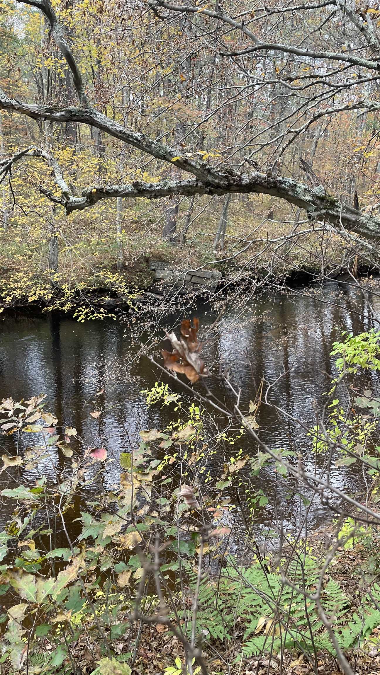 91 Whittemore Road Pembroke, NH 03275 - Photo 21 of 35