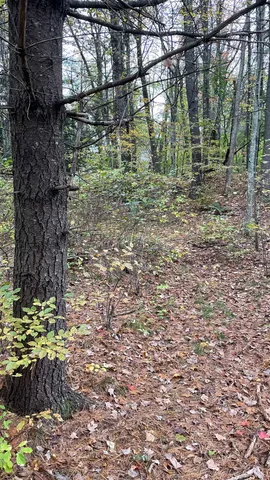 $279,900 | 91 Whittemore Road, Pembroke, NH 03275