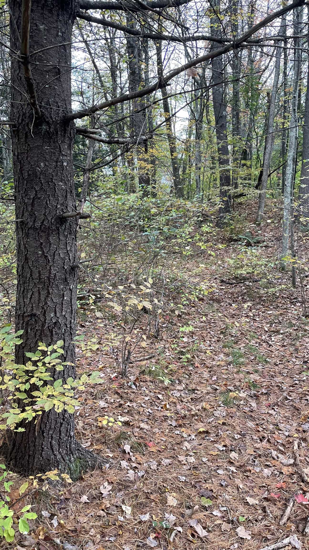 91 Whittemore Road Pembroke, NH 03275 - Photo 22 of 35