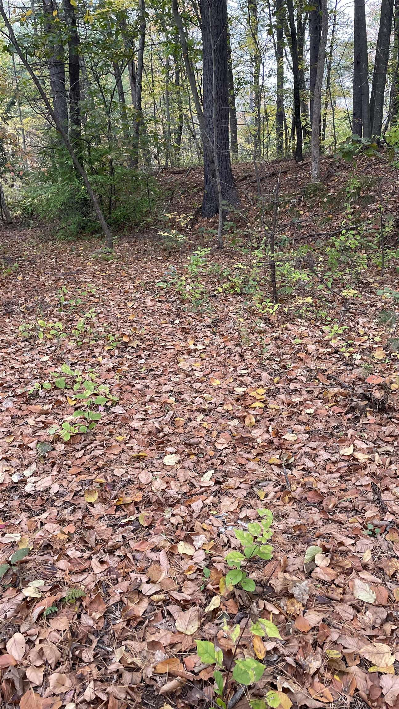 91 Whittemore Road Pembroke, NH 03275 - Photo 23 of 35