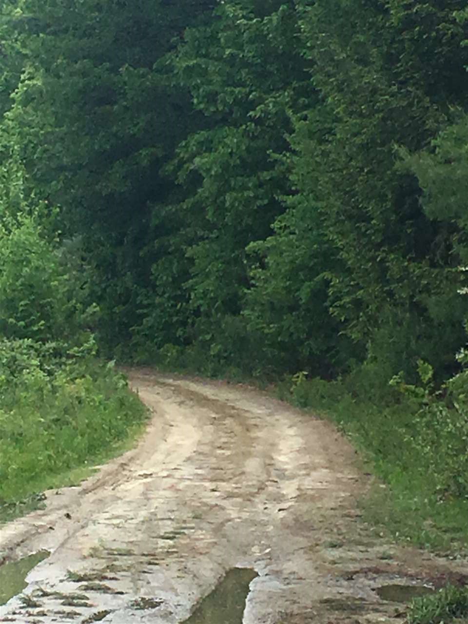 91 Whittemore Road Pembroke, NH 03275 - Photo 32 of 35