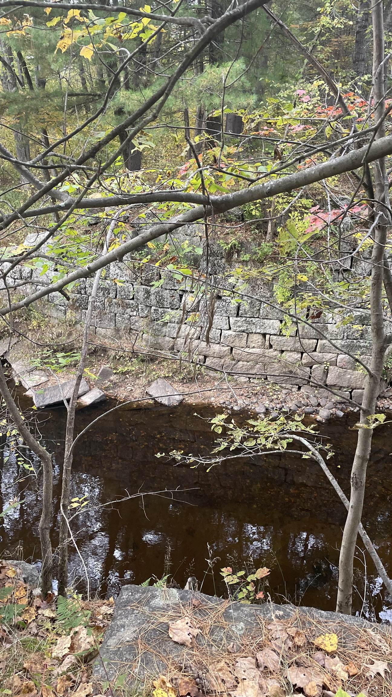 91 Whittemore Road Pembroke, NH 03275 - Photo 6 of 35