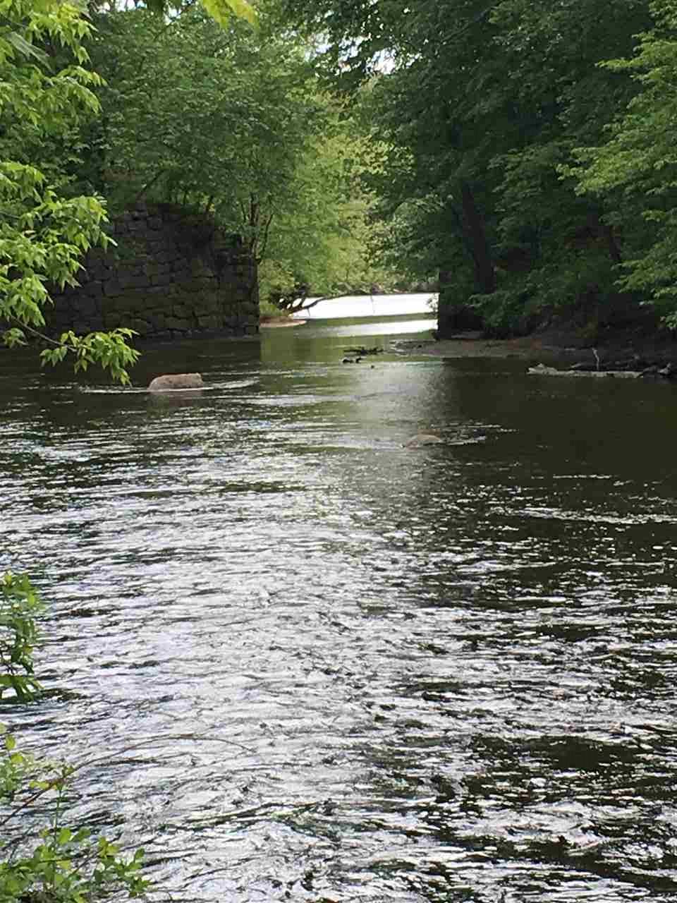 91 Whittemore Road Pembroke, NH 03275 - Photo 7 of 35