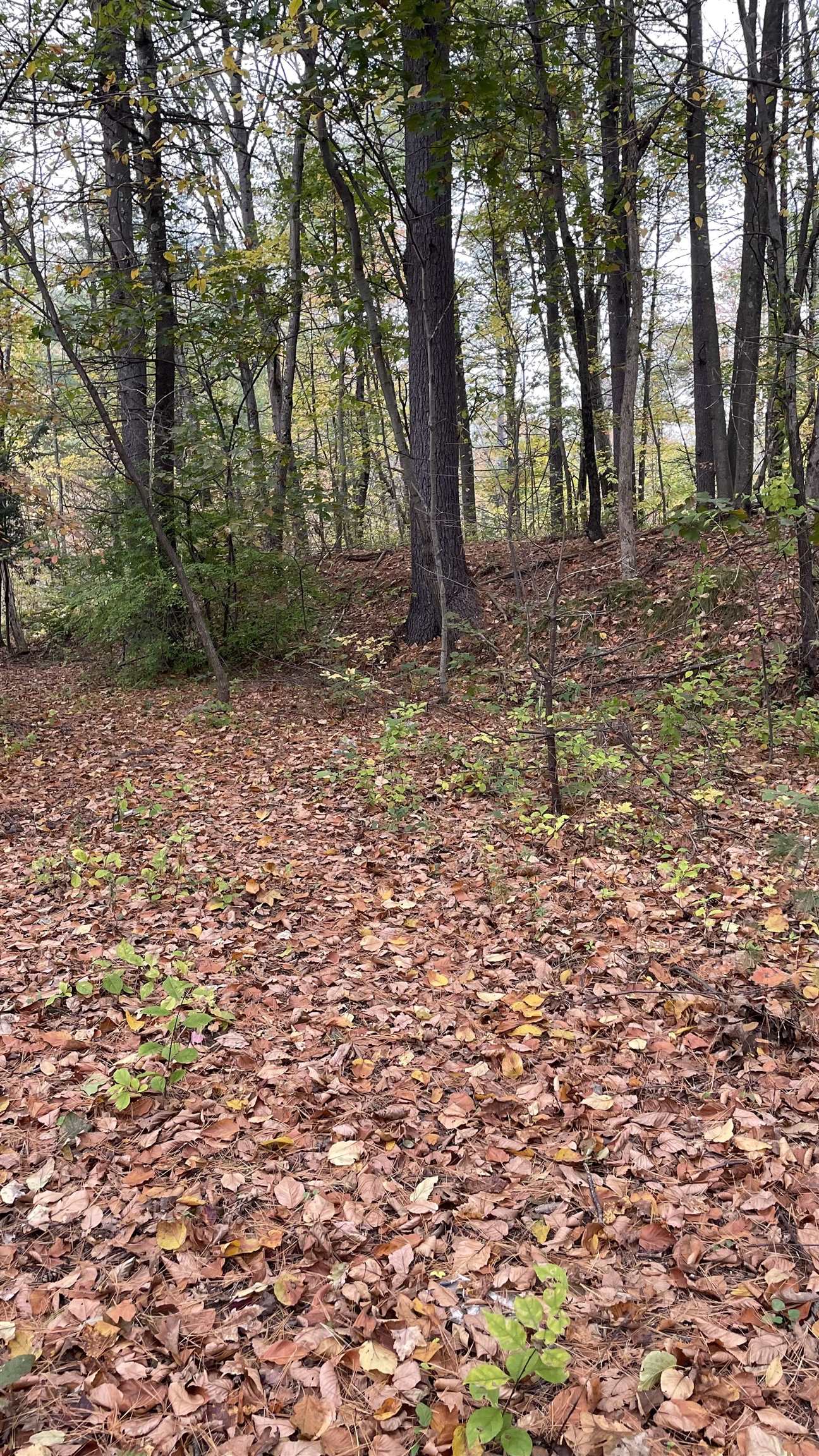 91 Whittemore Road Pembroke, NH 03275 - Photo 8 of 35