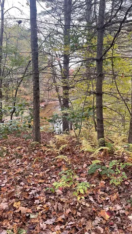 $279,900 | 91 Whittemore Road, Pembroke, NH 03275