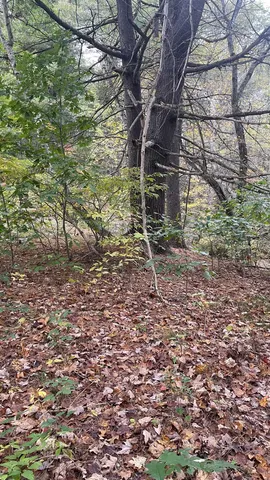 $279,900 | 91 Whittemore Road, Pembroke, NH 03275