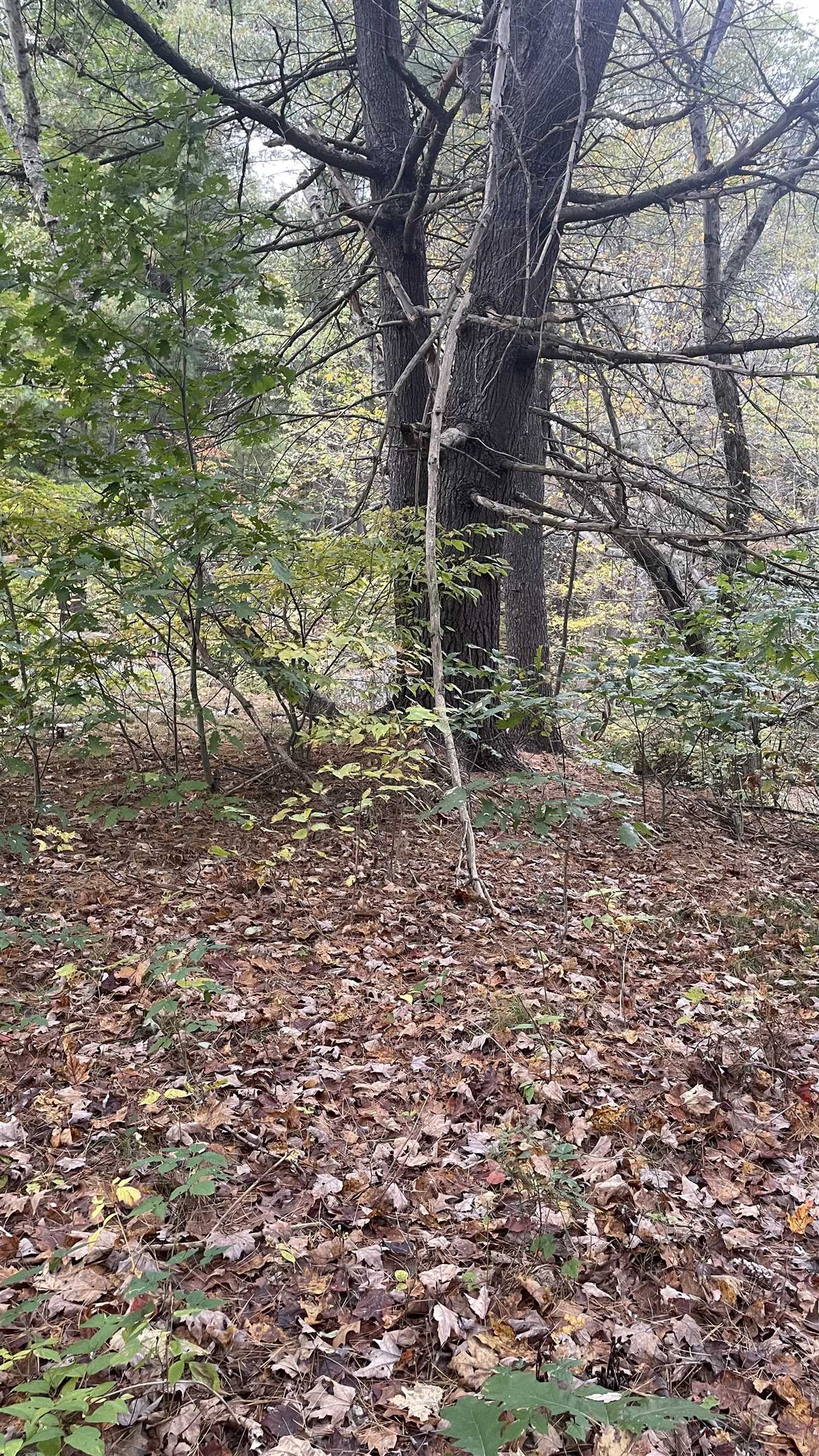 91 Whittemore Road Pembroke, NH 03275 - Photo 10 of 35