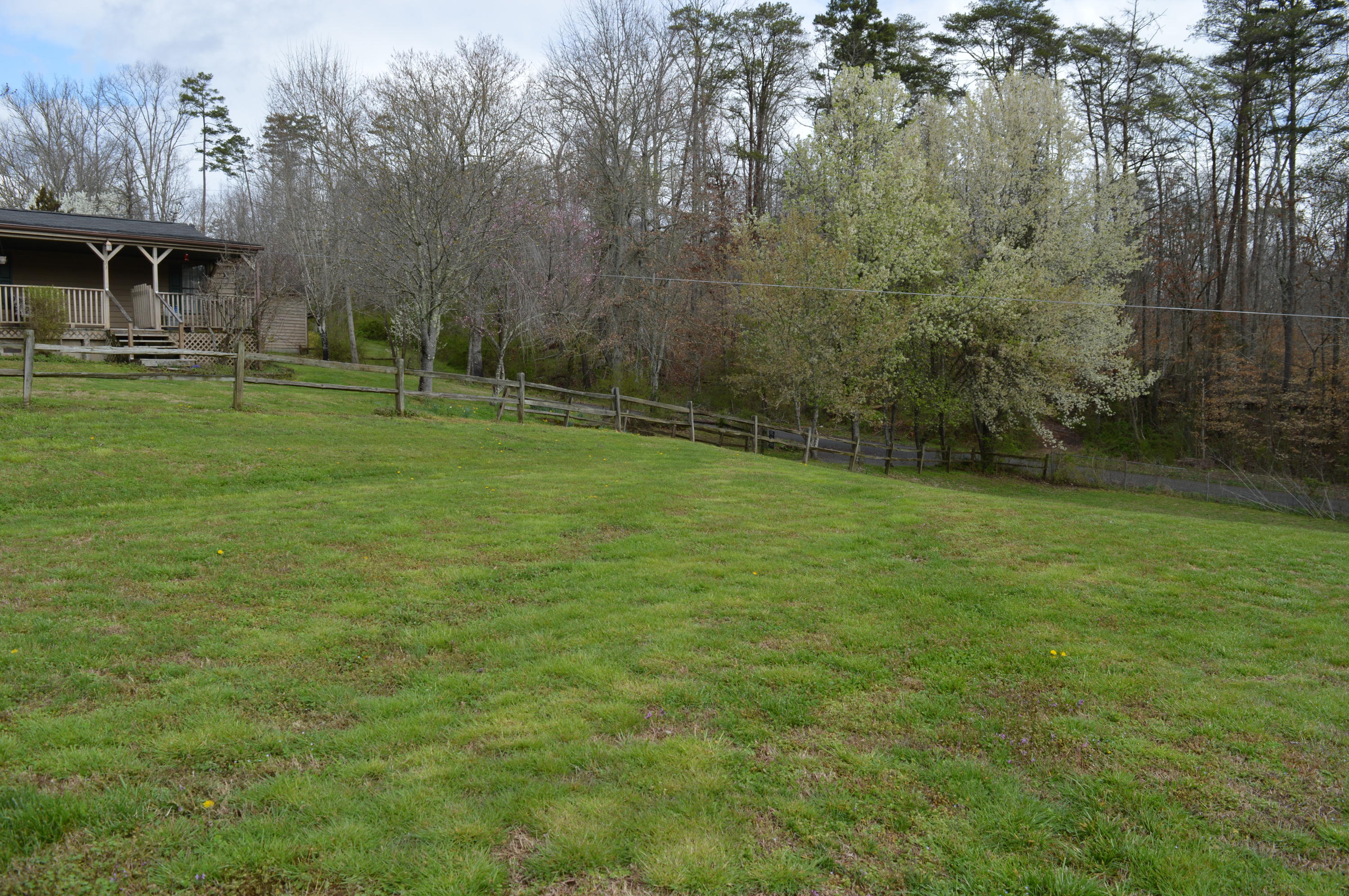 123 Mynatt Cox Lane Heiskell, TN 37754 - Photo 36 of 38 Front pasture