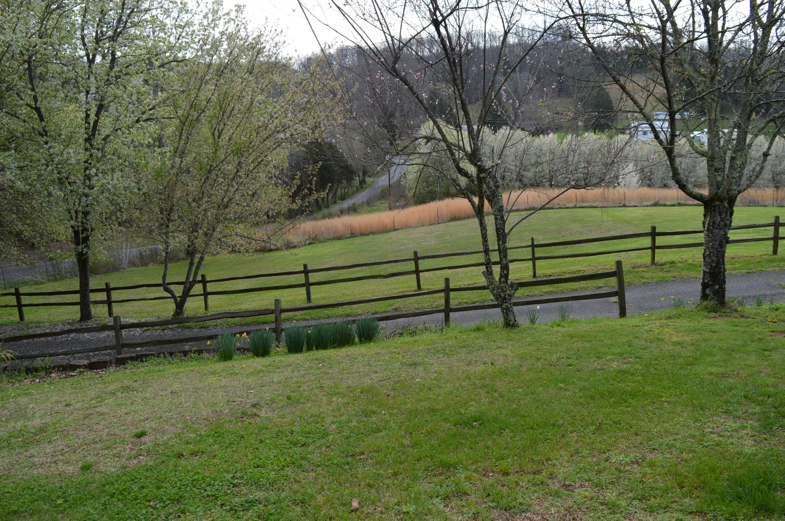 123 Mynatt Cox Lane Heiskell, TN 37754 - Photo 37 of 38 Views of the Mountains