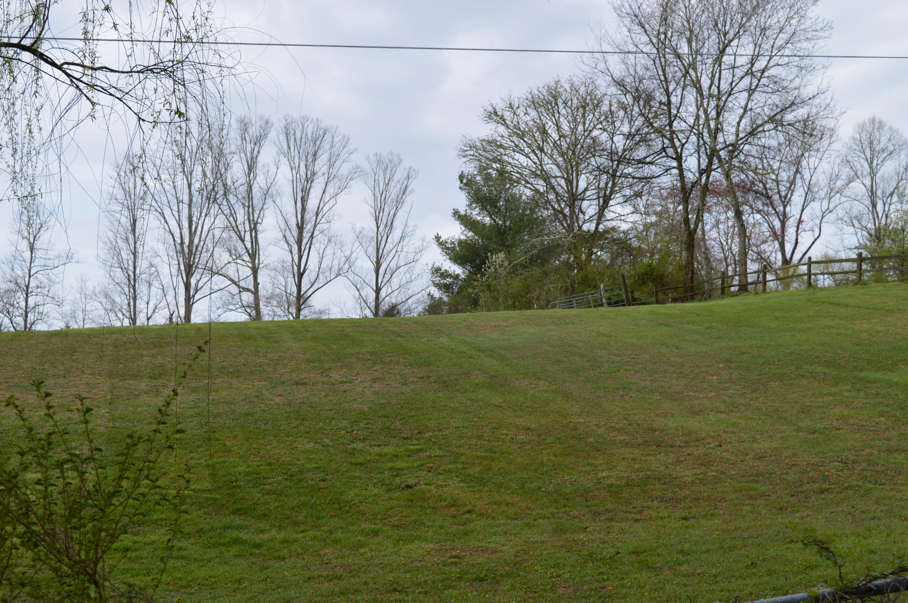 123 Mynatt Cox Lane Heiskell, TN 37754 - Photo 9 of 38 DSC_1519