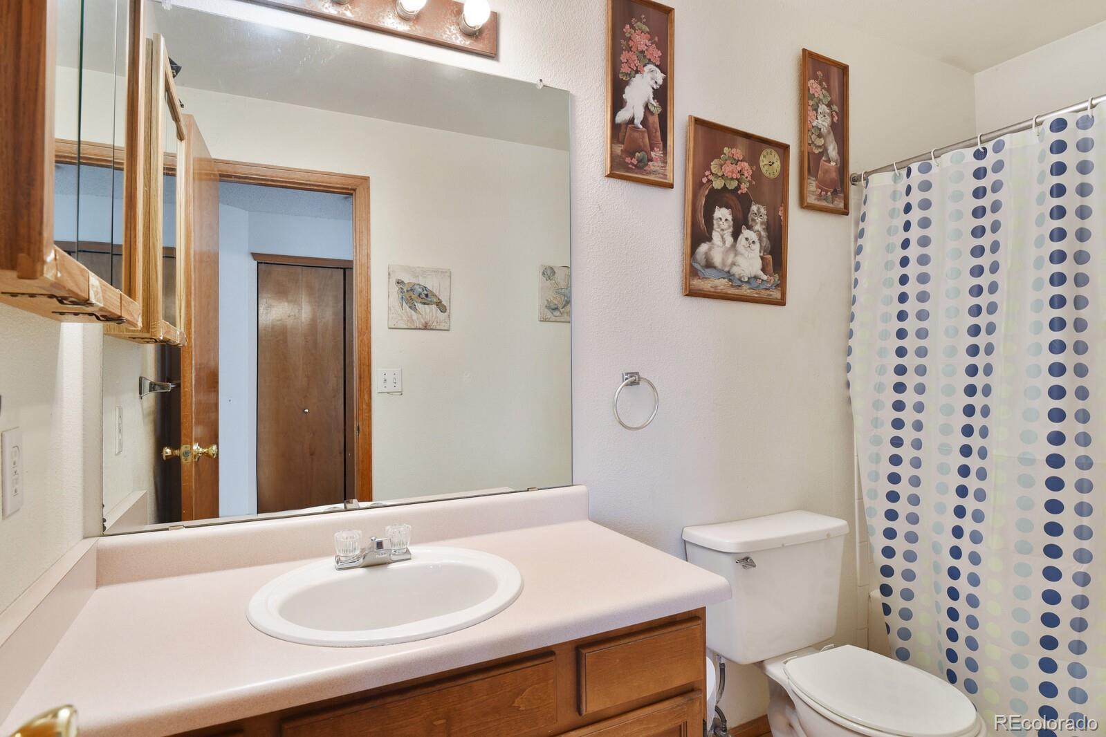 4385 Malta Street Denver, CO 80249 - Photo 11 of 19