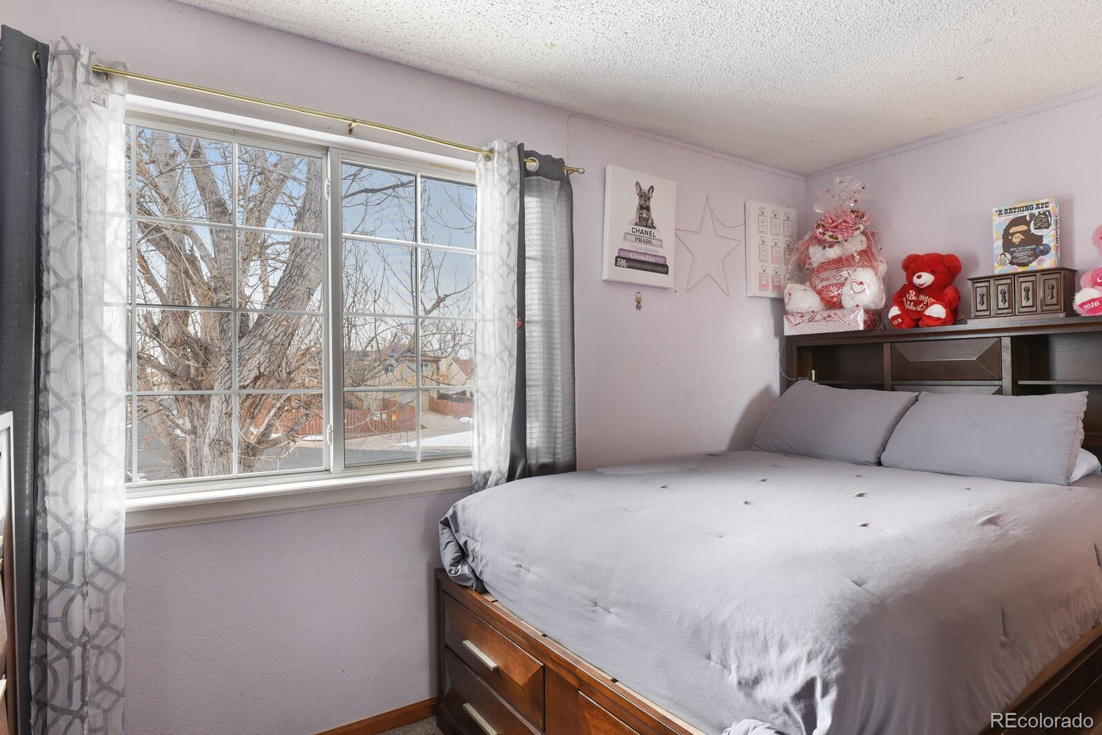 4385 Malta Street Denver, CO 80249 - Photo 10 of 19