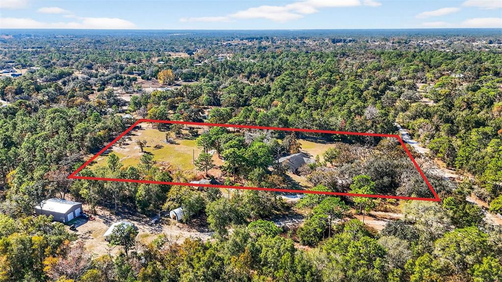 14252 Trinity Road Brooksville, FL 34614 - Photo 23 of 26 a view of a and covered with lots of trees