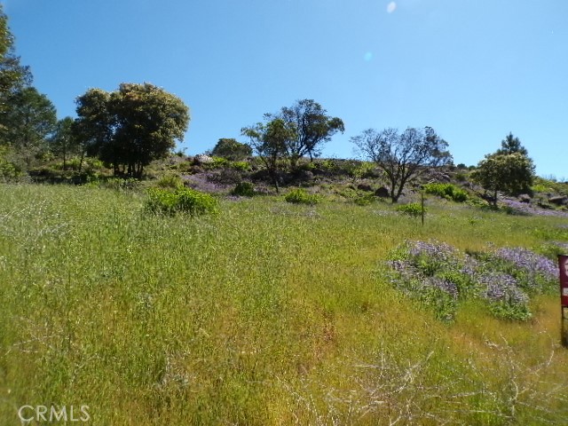 10450 Sunset Ridge Drive Kelseyville, CA 95451 - Photo 2 of 5 a view of a grassy area with an trees