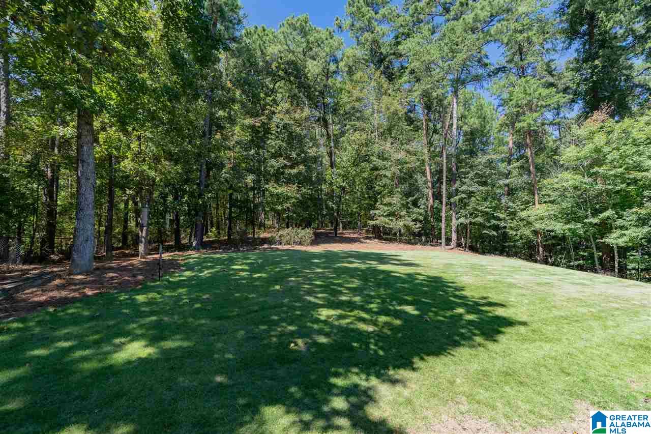 320 New Hope Mtn Road Pelham, AL 35124 - Photo 44 of 50