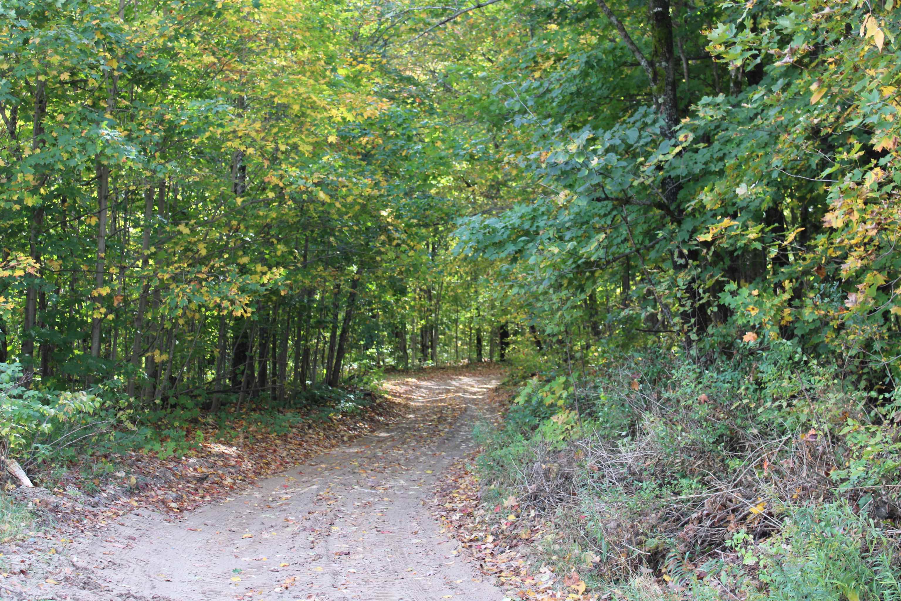 Derry Road Alba, MI 49611 - Photo 34 of 50